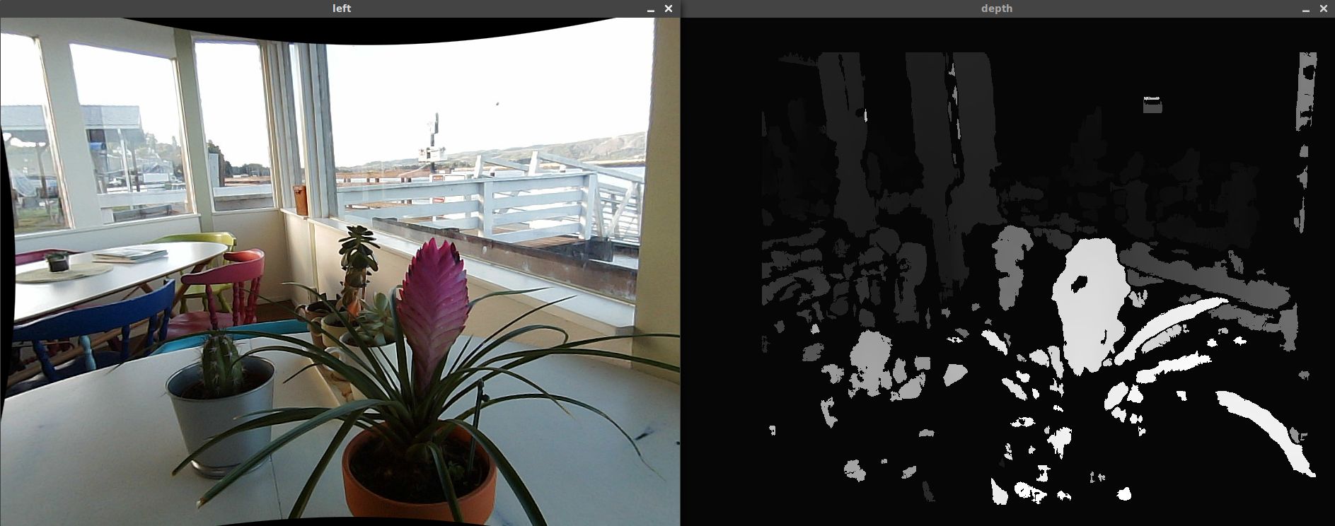 Potted plants and the corresponding depth map
